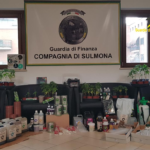 Produceva cannabis: scoperto laboratorio a Sulmona. In carcere 40enne